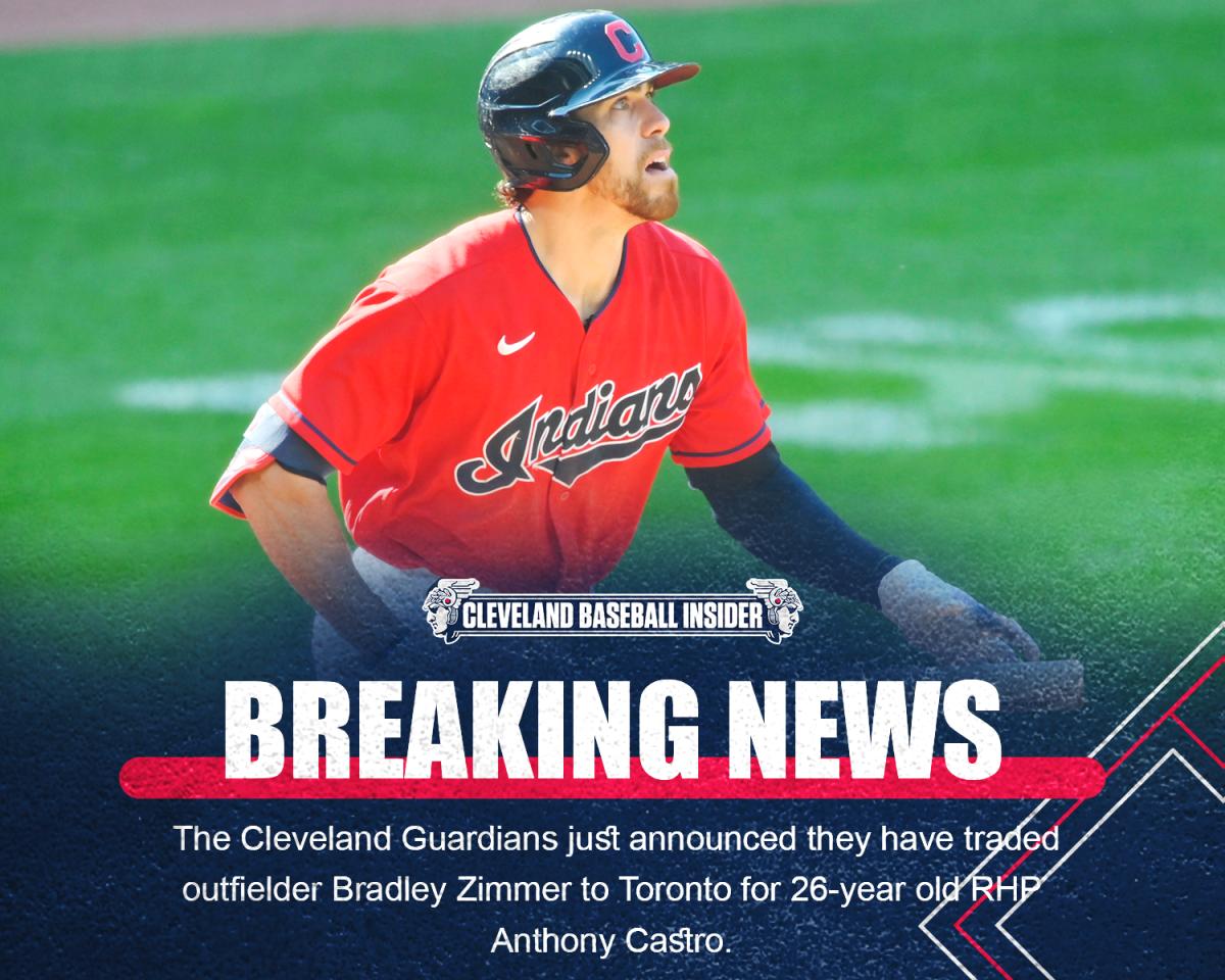 Zimmer Traded